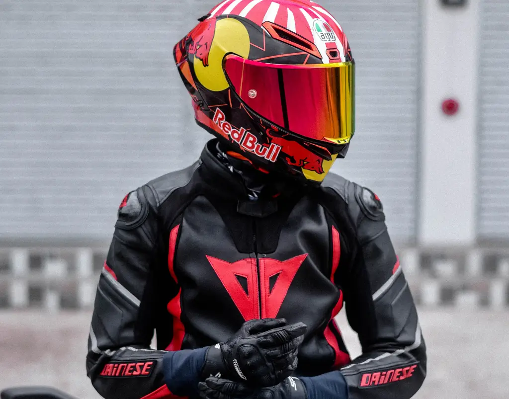 motocycle helmet cozy (21)